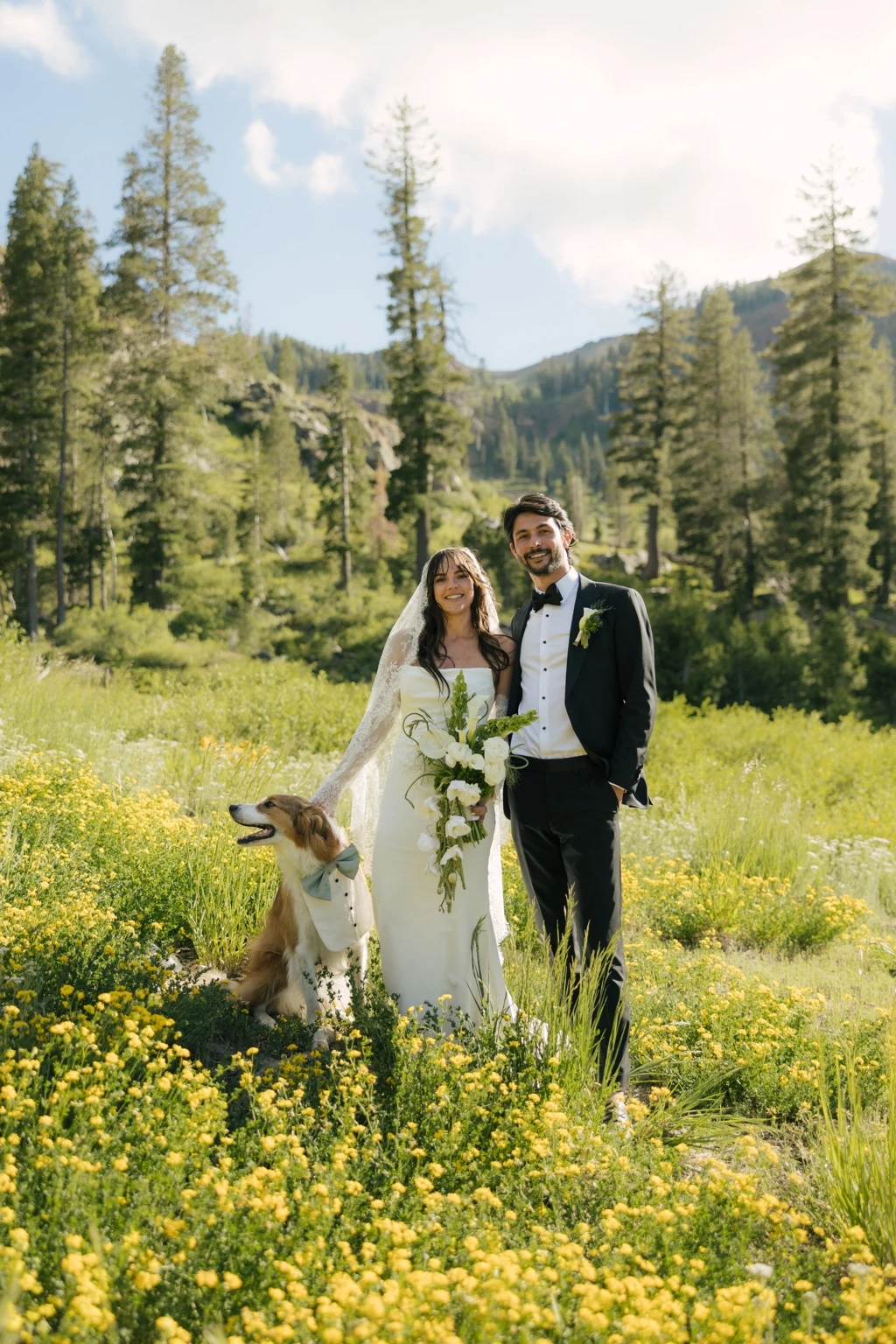 Wedding couple and their dog in a wildflower meadow surrounded by mountain pines